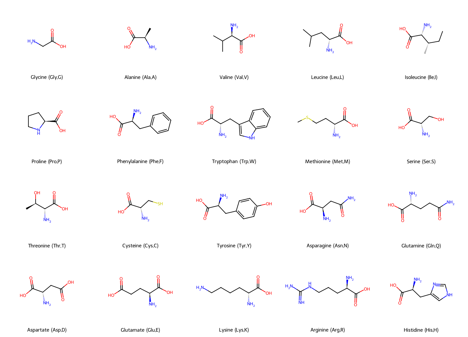 20 amino acids
