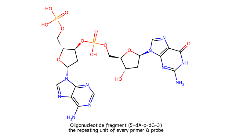 Primer probe oligonucleotide