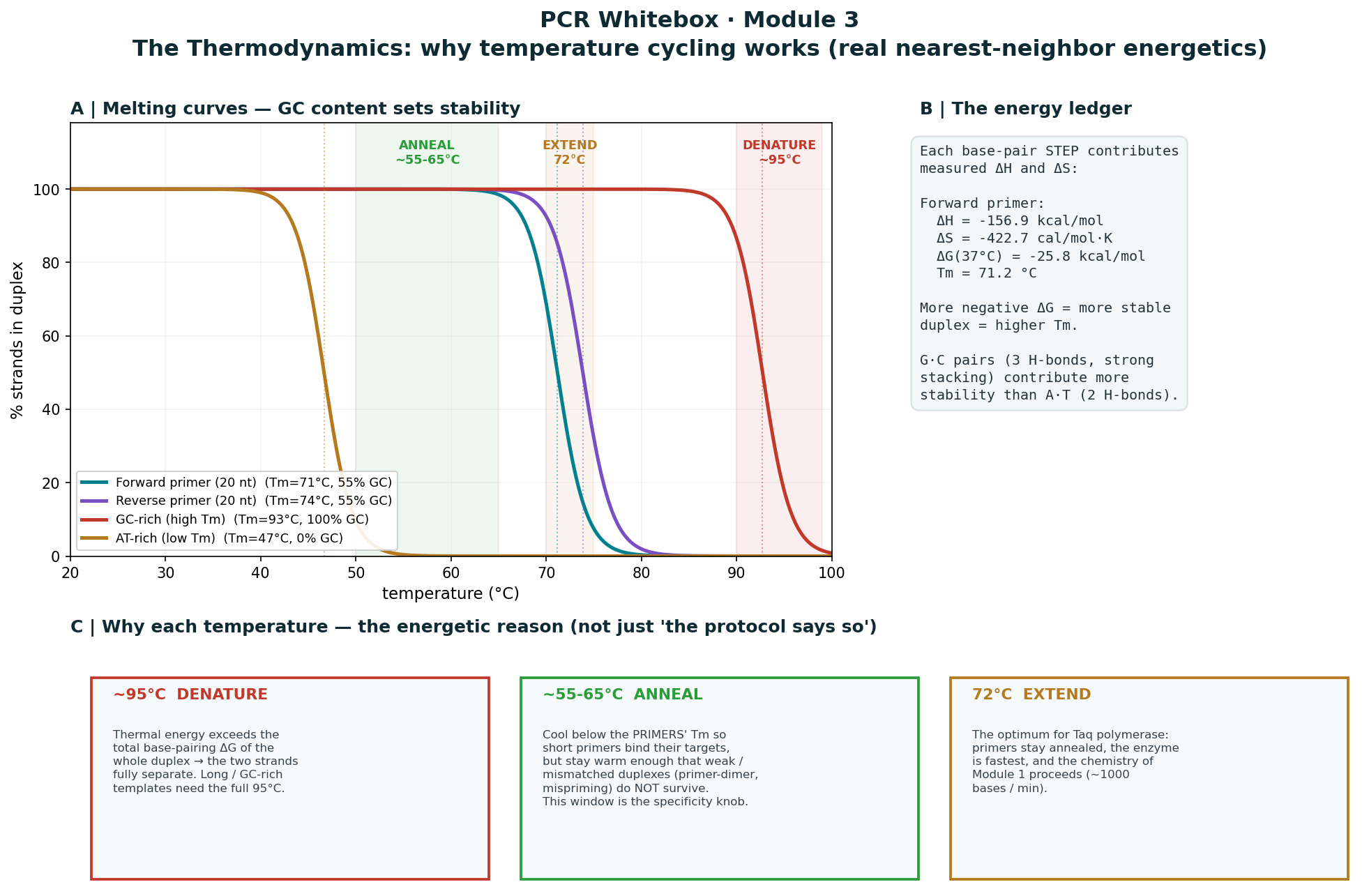 thermodynamics melting curves